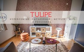 Au Coeur De Reims - Tulipe